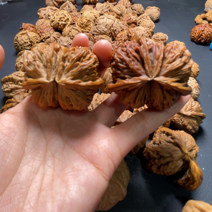 小**仙白狮子龙首球连49尺寸核桃哈哈哈哈哈哈哈