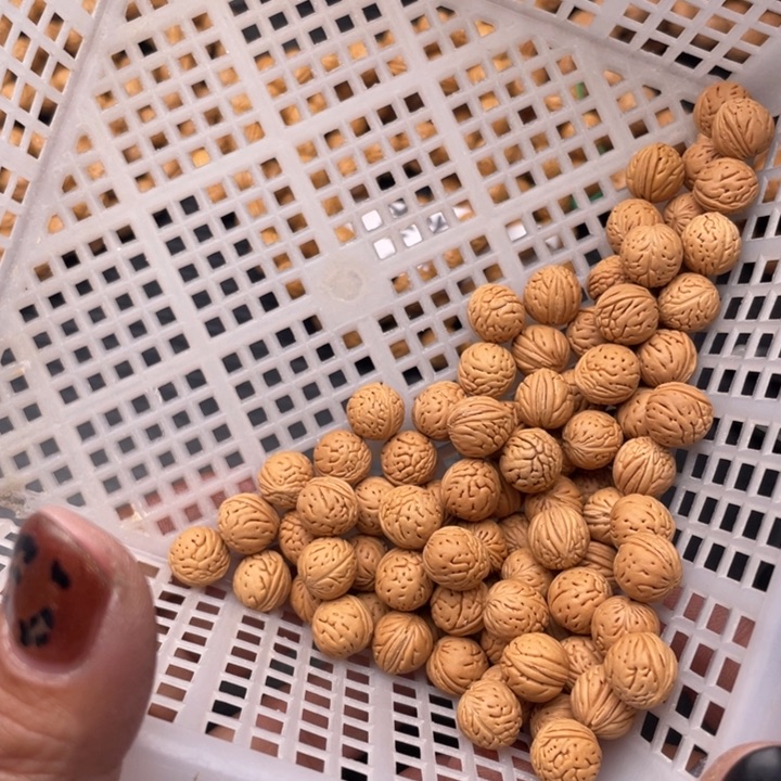 小***屹私人定制300元打孔不退不换