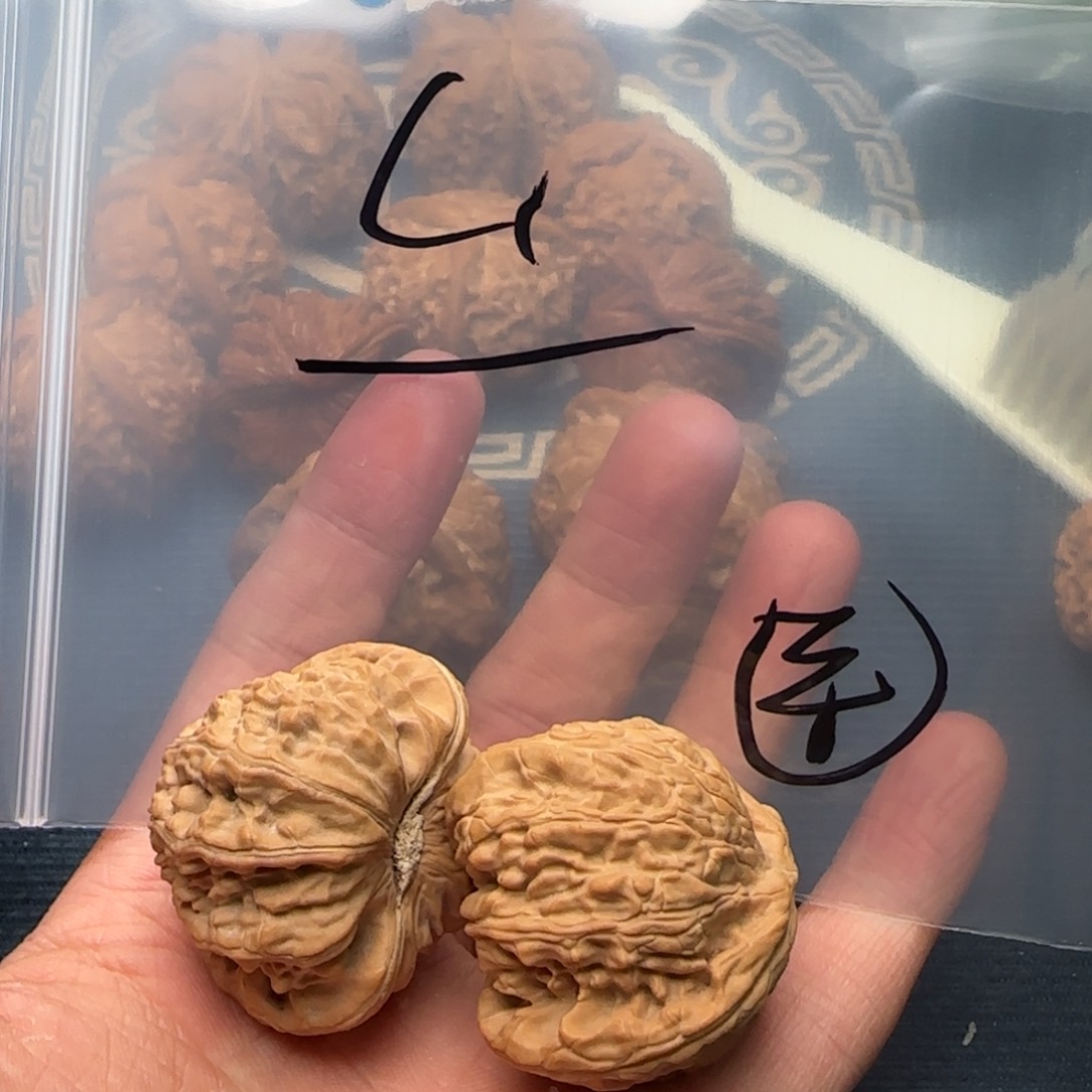 42白狮子村位于河南省洛阳