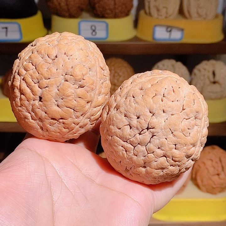 野生三瓣脑纹大金刚5560微微瑕