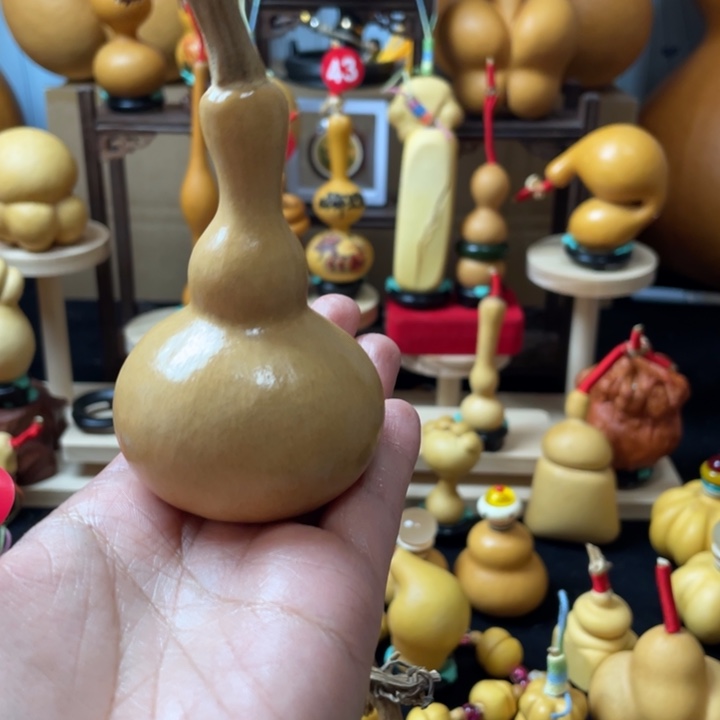 K***X葫芦丝老师白给了我自己看