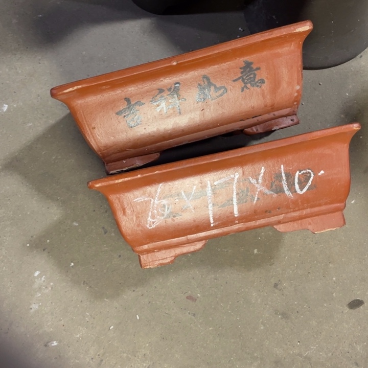 周深周深周深周深 