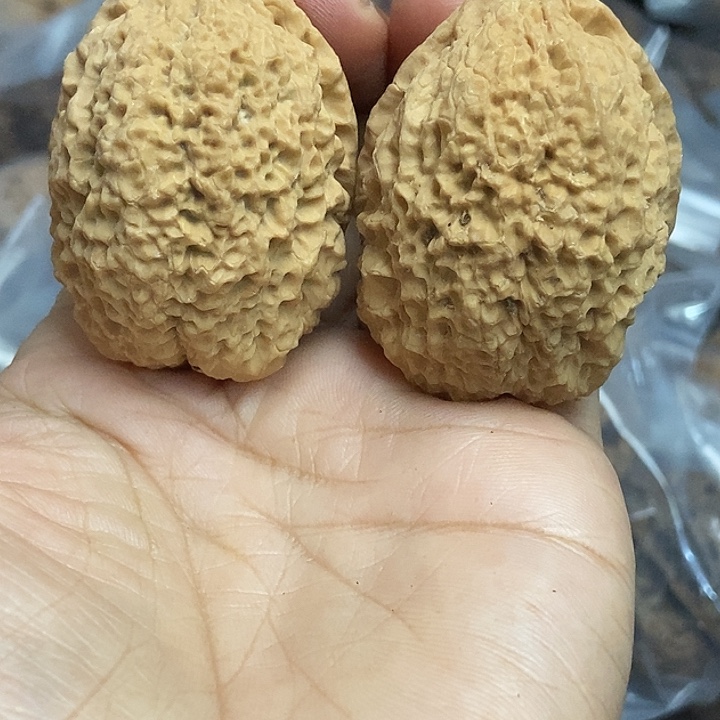 把件文玩核桃云南铁核桃基地60