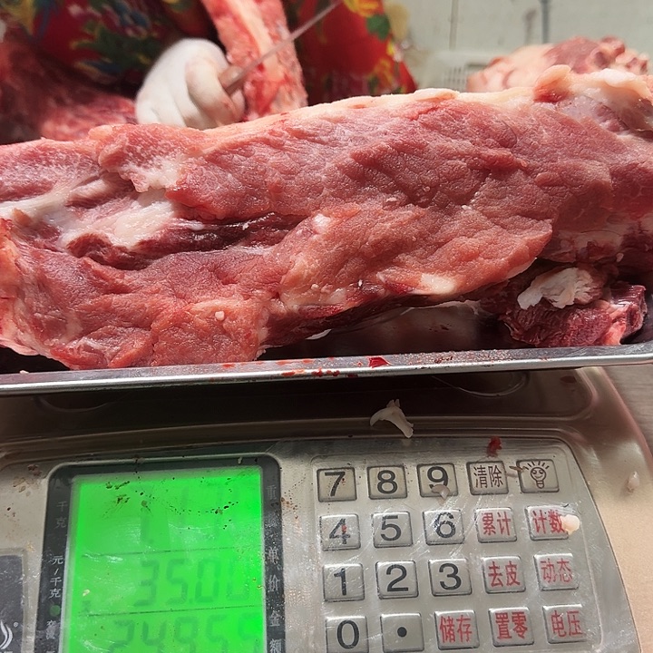 3中国大陆脊骨五斤