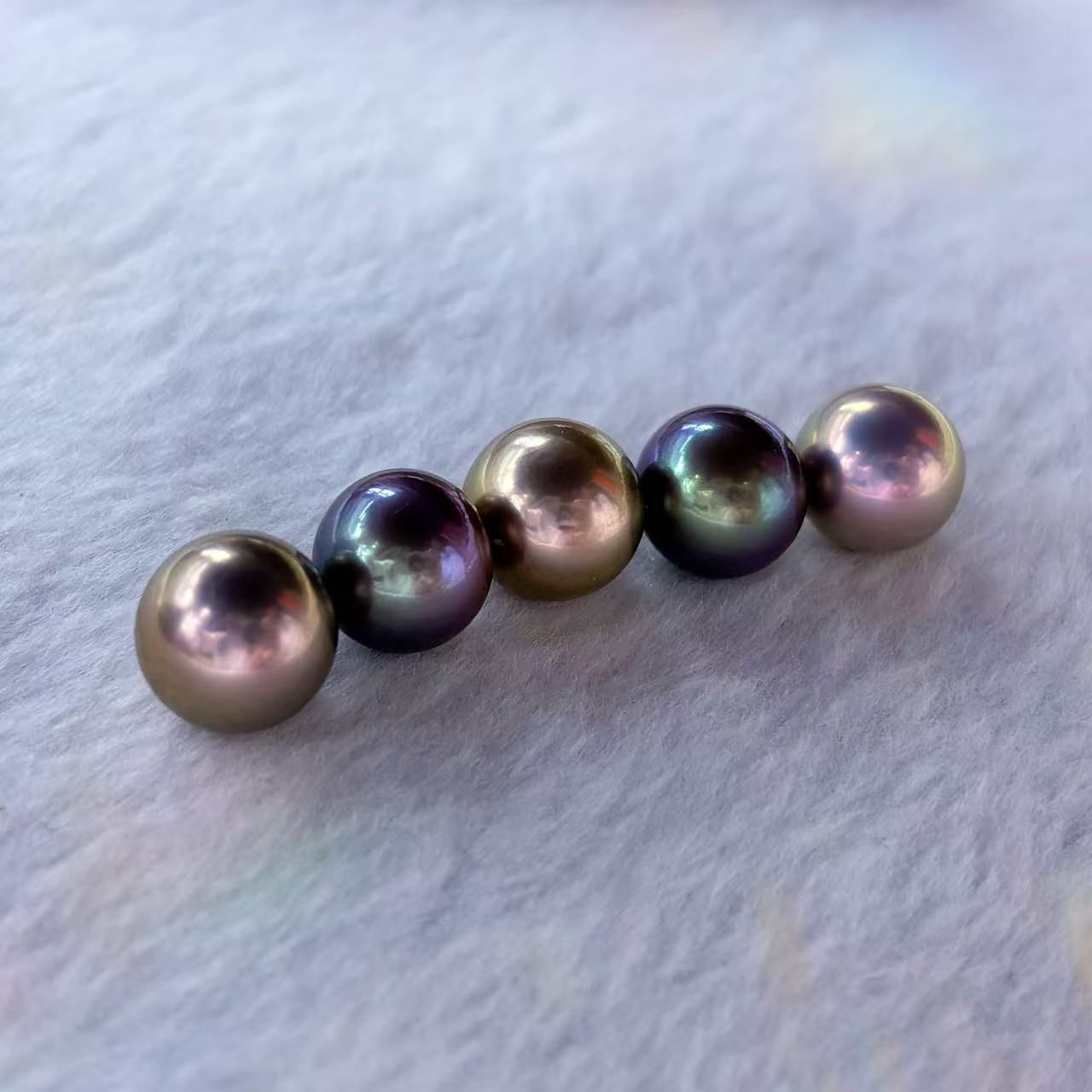 新店开业福利十三太保保点位13以上（活体不退换）可定制DIY珍珠蚌