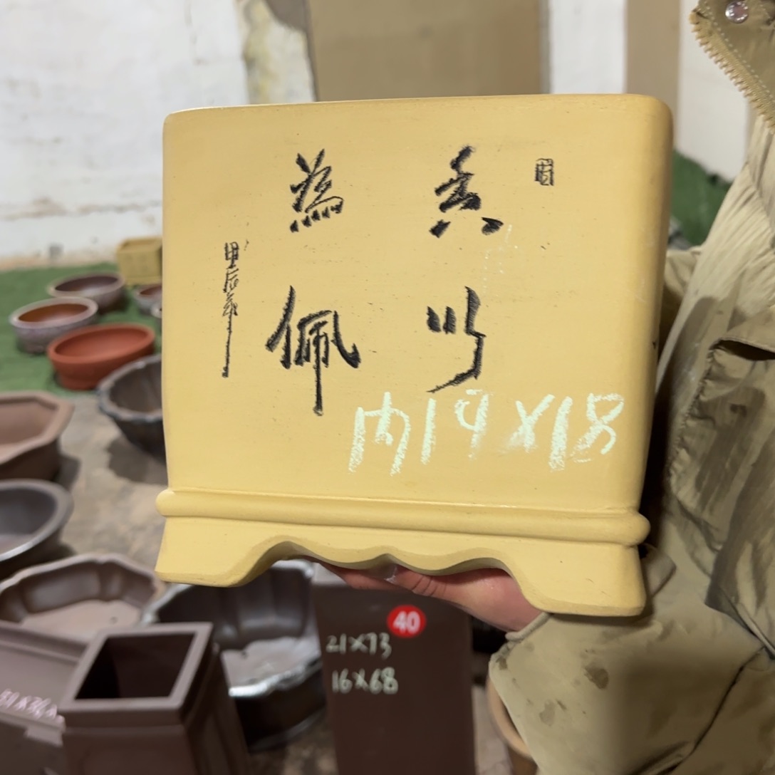 紫砂花盆呜呜呜呜