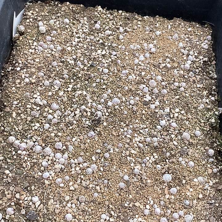 8580一筐   带框发