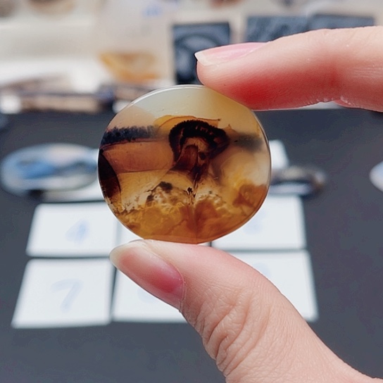 玛瑙/玉髓珠宝奇石未镶嵌