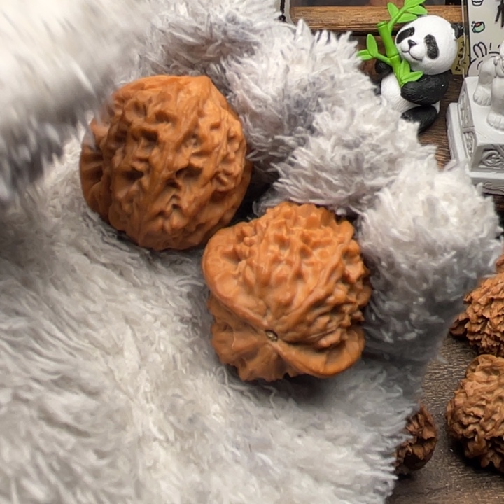 i***u核桃31尺秦岭野生小金豆