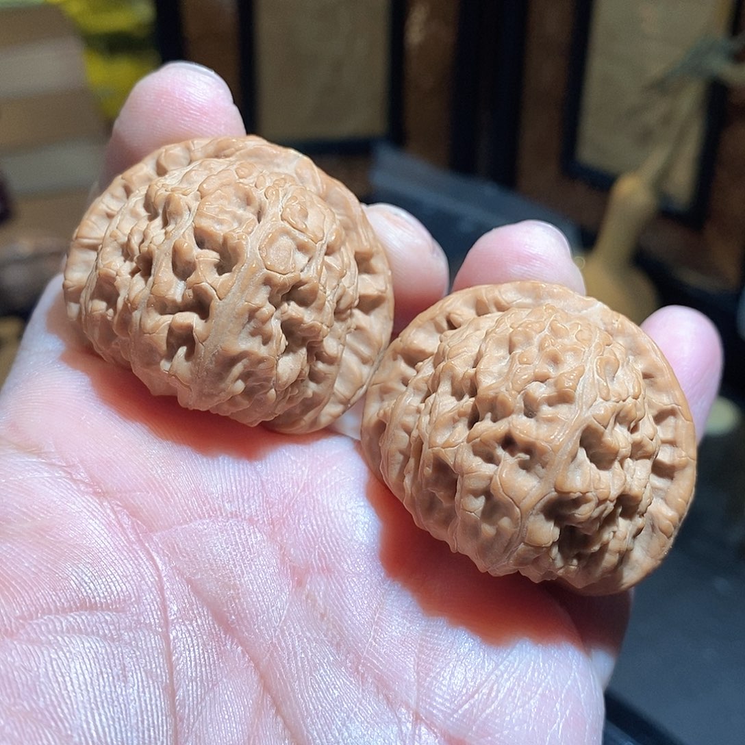 文玩核桃把件42白狮子