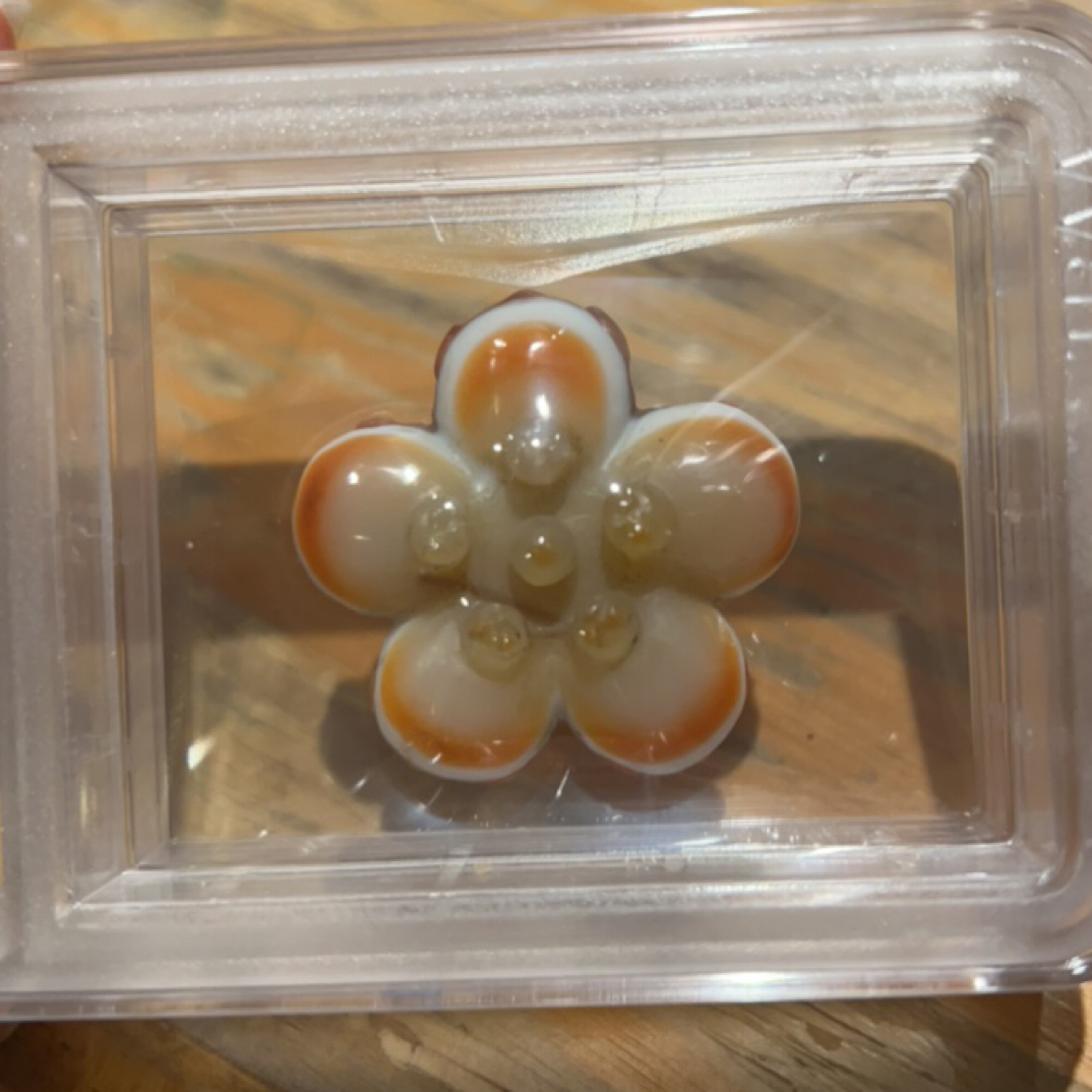 藏地密码，藏式珠子k77