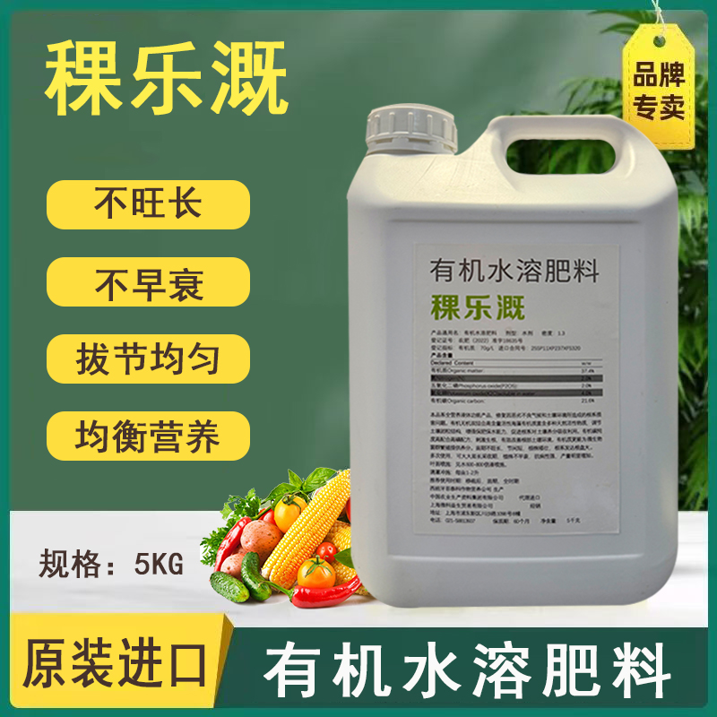 西班牙原装进口 根系发达拔节均匀不早衰不旺长 延长采收增加产量