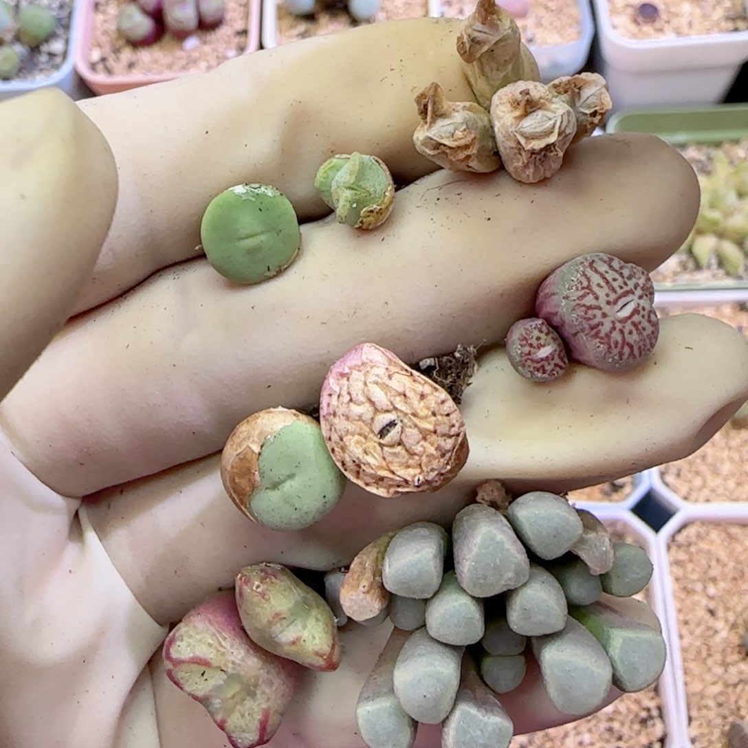 291福利福利福利