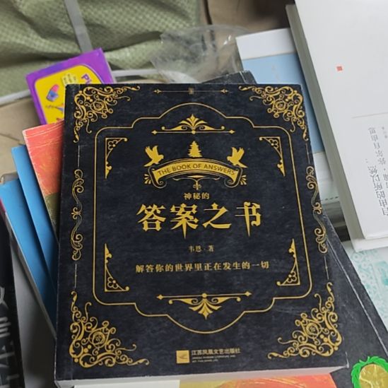 神秘的答案之书，里边全是字啊，这个字少。