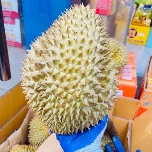一物一拍【如果家甄选】泰国空运树上熟榴莲新鲜金枕榴莲双A果配送到家干包黄肉肉厚核小香甜3-8斤金枕泰国