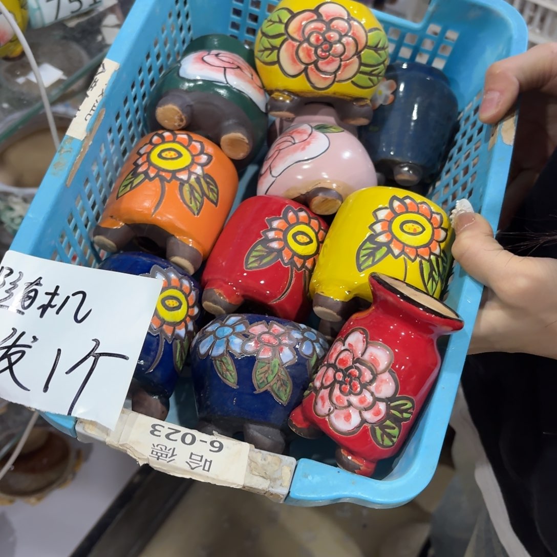 本场直播满百送个盆颜色随便