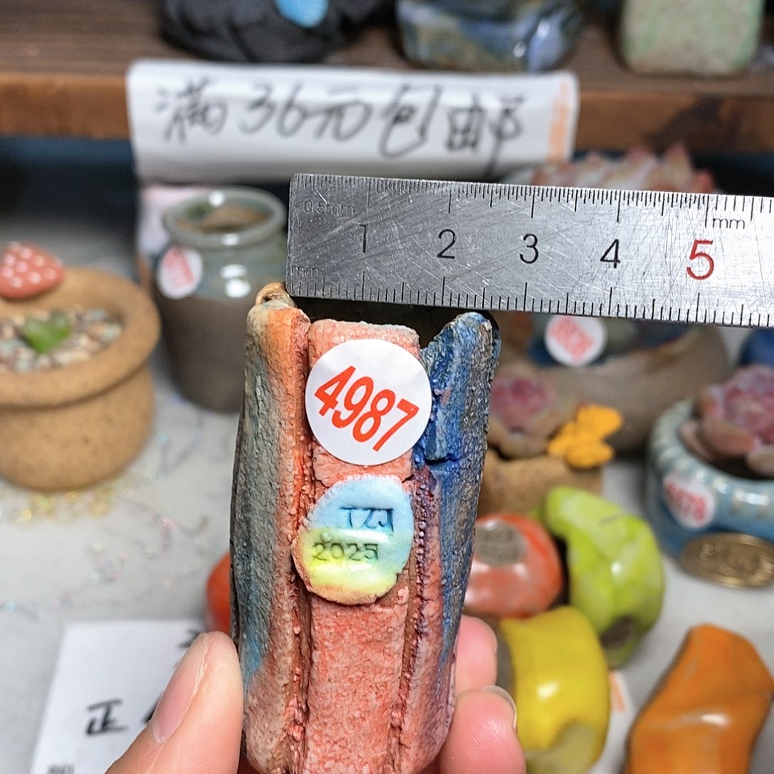 红陶拍5送一个小