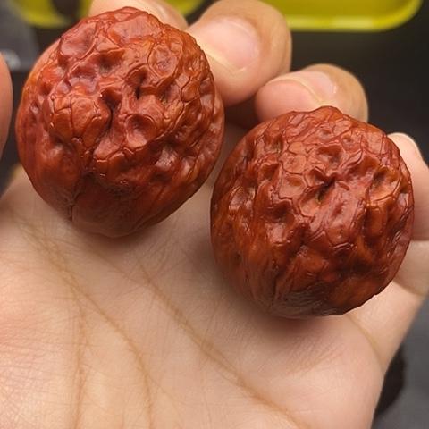 文玩核桃把件39尺疙瘩包