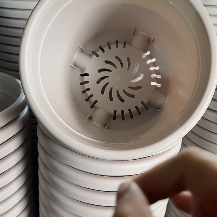 四季3号灰白无托10个特价