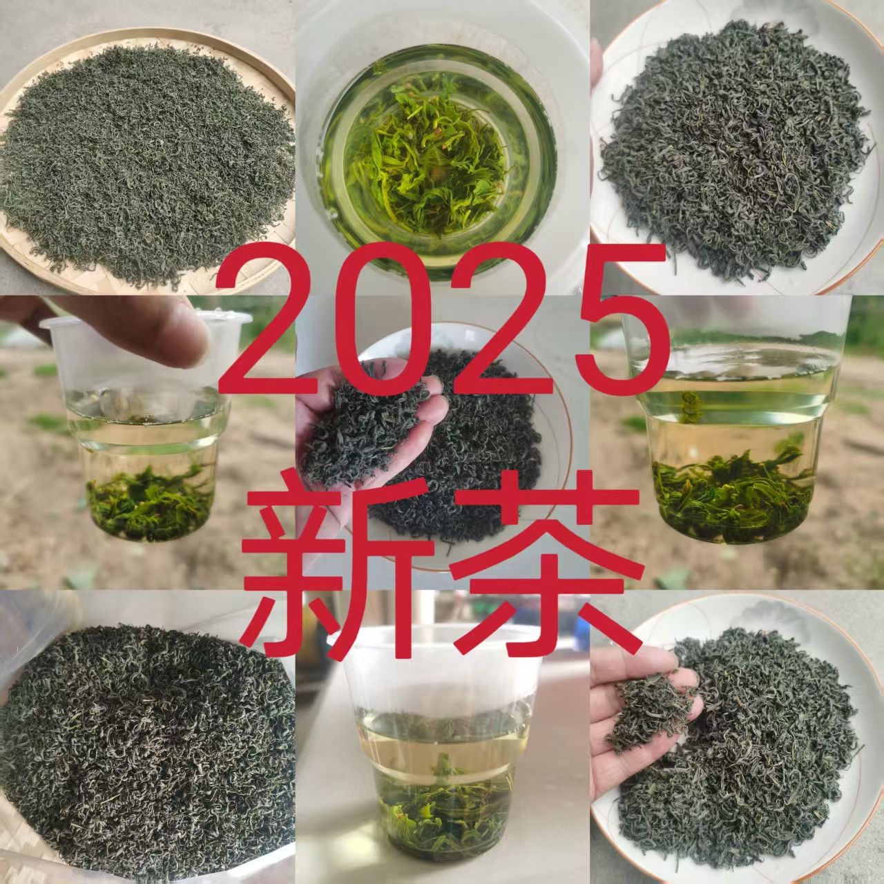 {【2025新茶】2025新茶茶叶嫩芽嫩叶绿茶