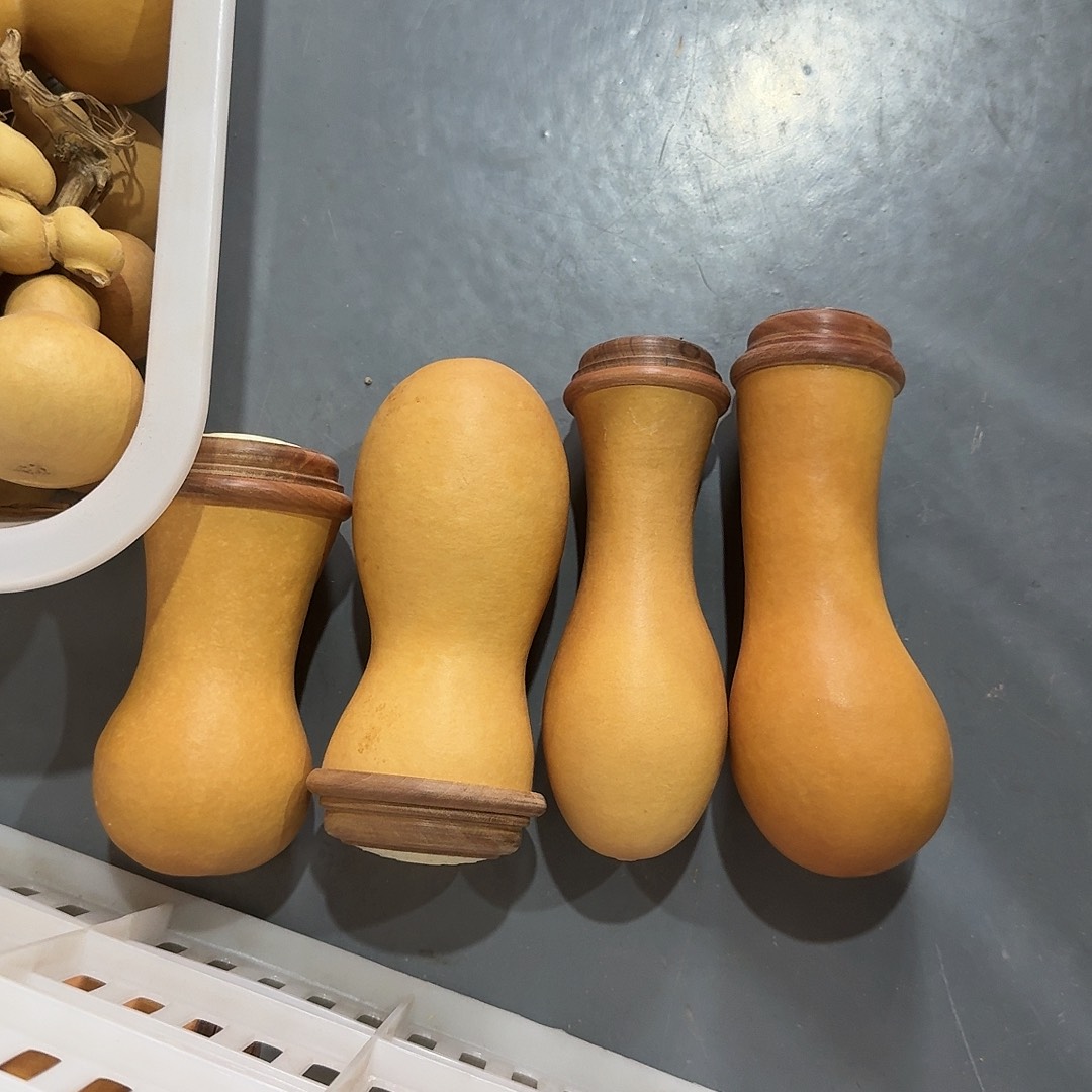 怀***宿木4个虫罐组成两只老虎