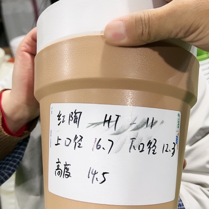 正品红陶口16.7高14.5白色无托6只