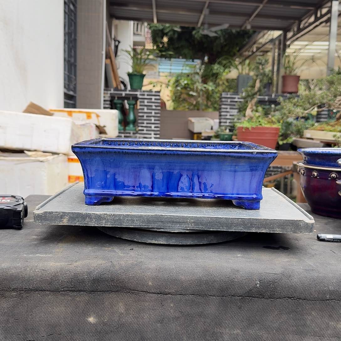 红陶y g g g f f f f f f f f