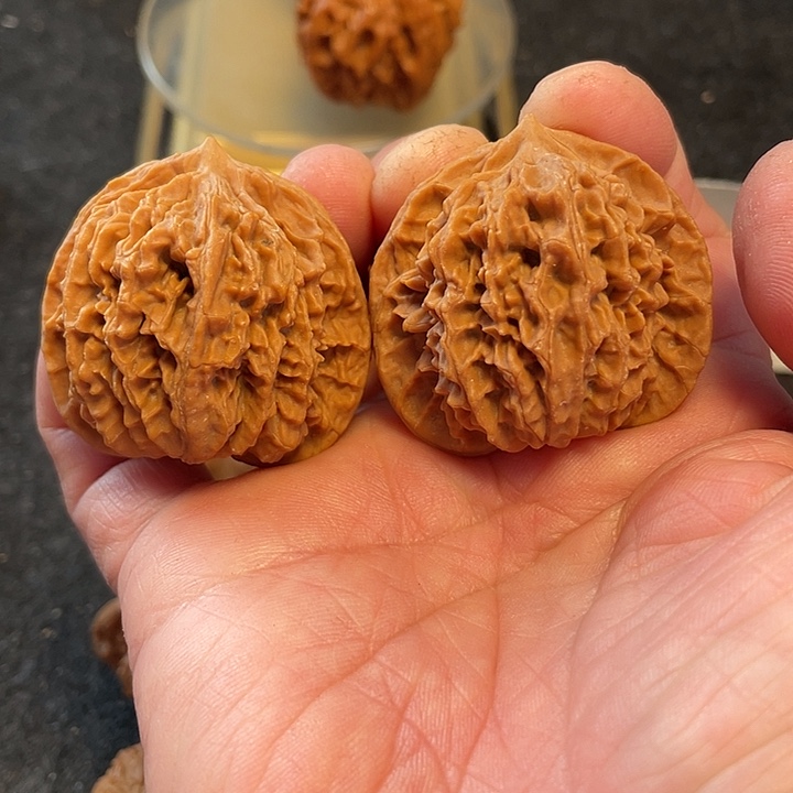 把件文玩核桃老款盘龙纹