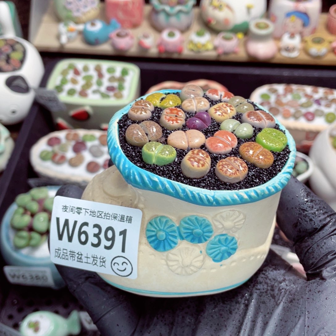 夜间零下地区拍保温箱w6391