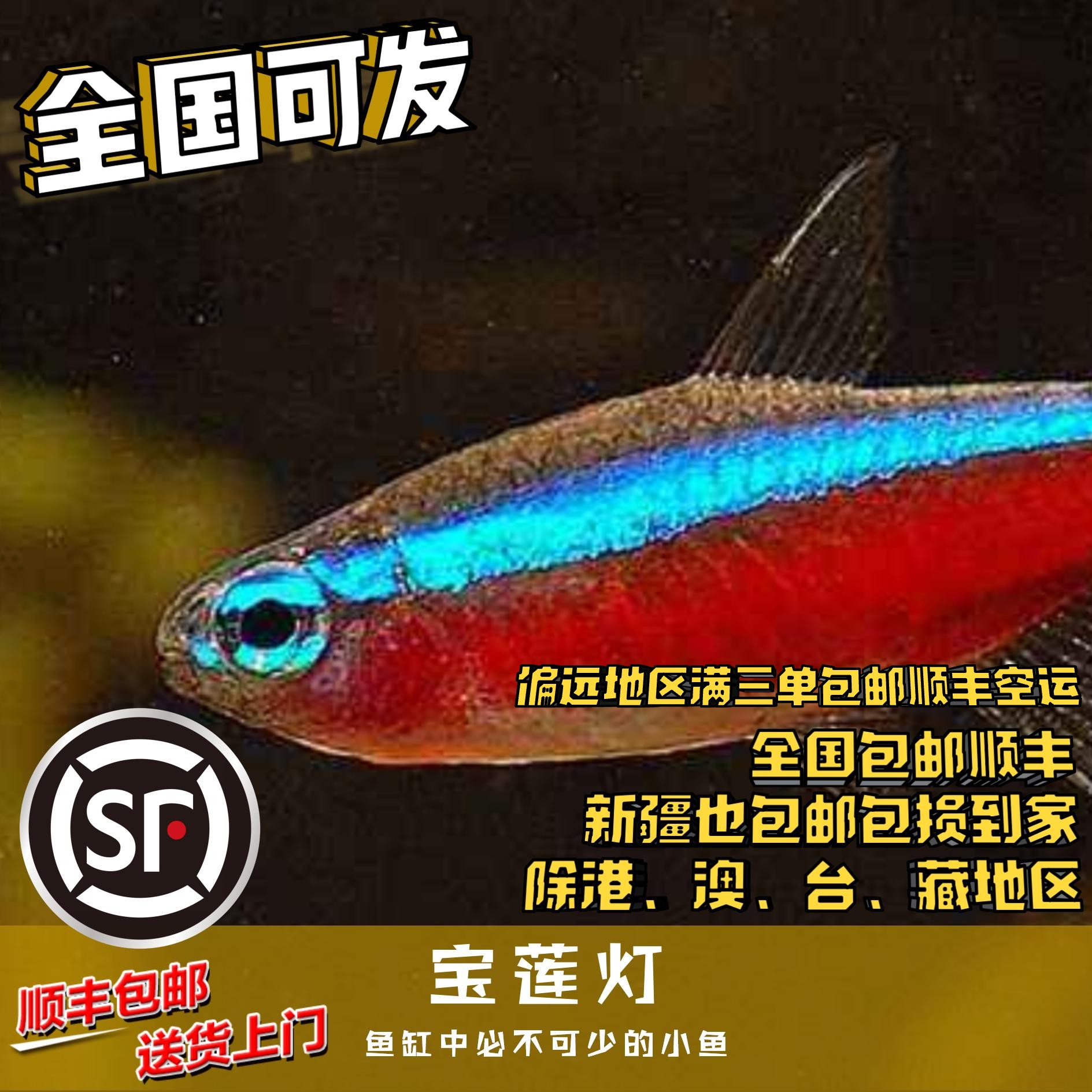 Boo小鱼 宝莲灯 偏远地区任意三单包顺丰空运