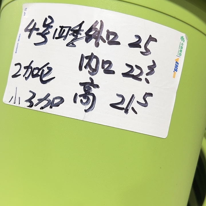四季4号特价果绿色8个无托