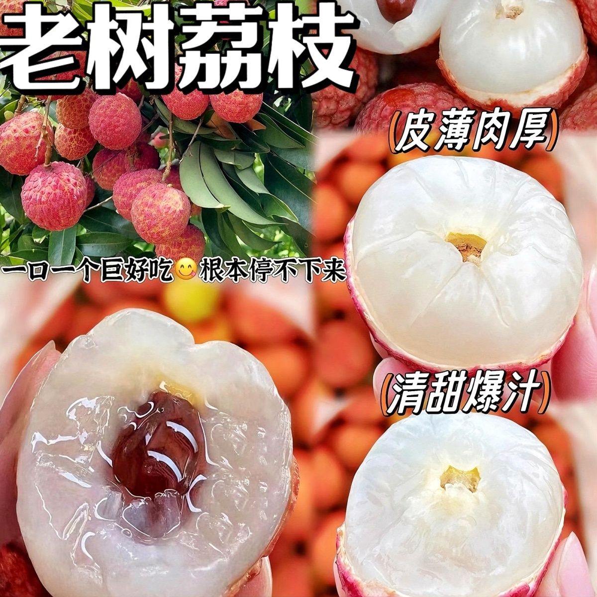 【新鲜乌叶荔枝】果园老树新鲜现摘乌叶荔枝清甜多汁冷链包邮发货