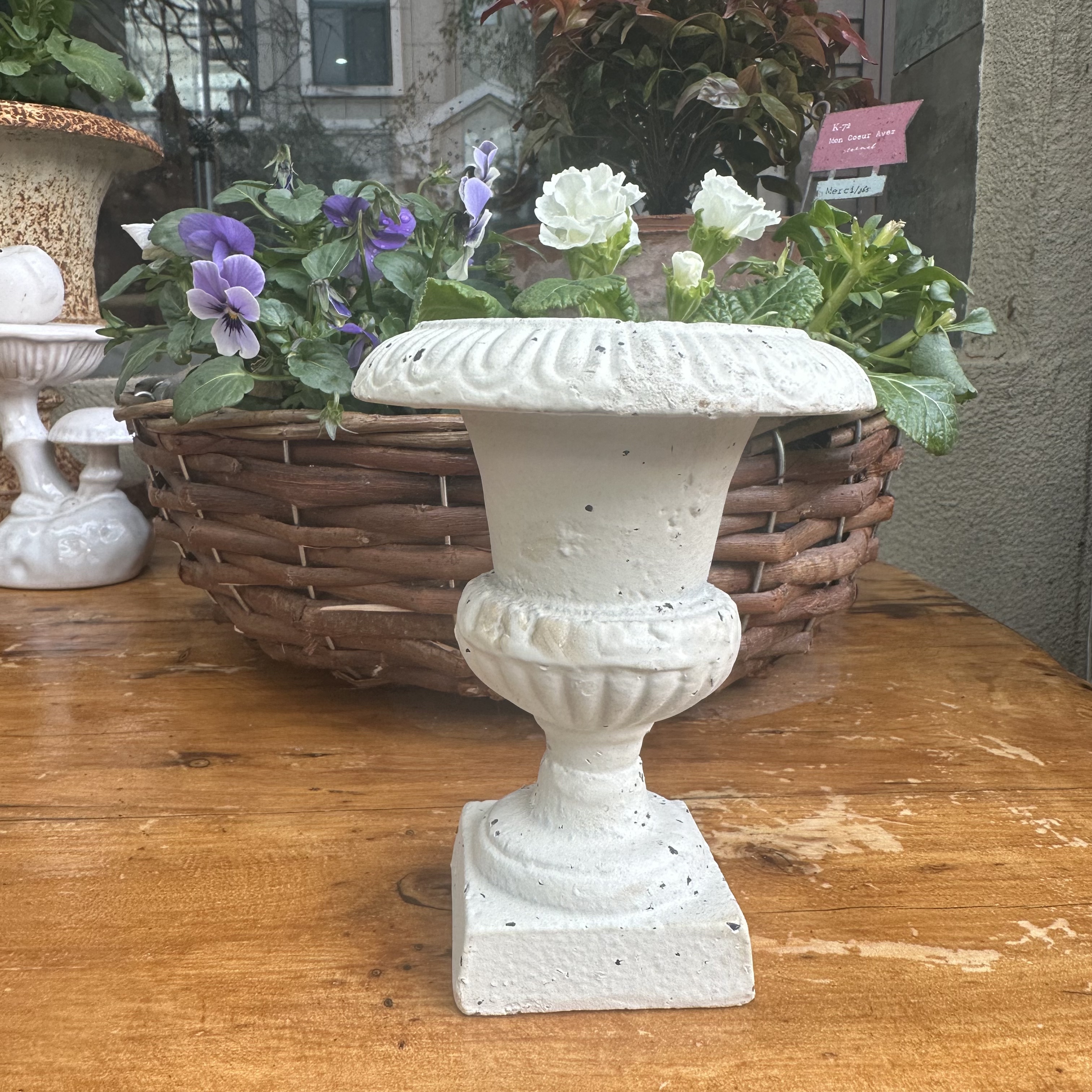 【那里花止】园艺杂货 铸铁做旧迷你花瓣边小奖杯盆 