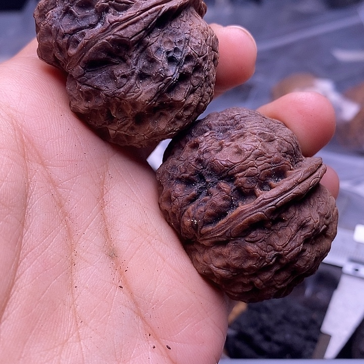 把件文玩核桃   61