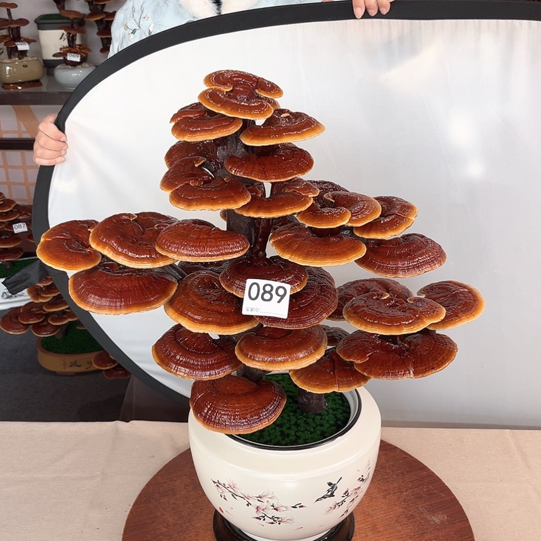 万事如意888888089