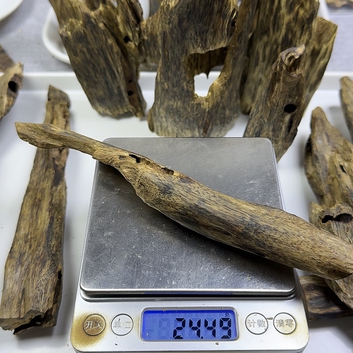 锐***海香料乌身圆叶虫漏香24克