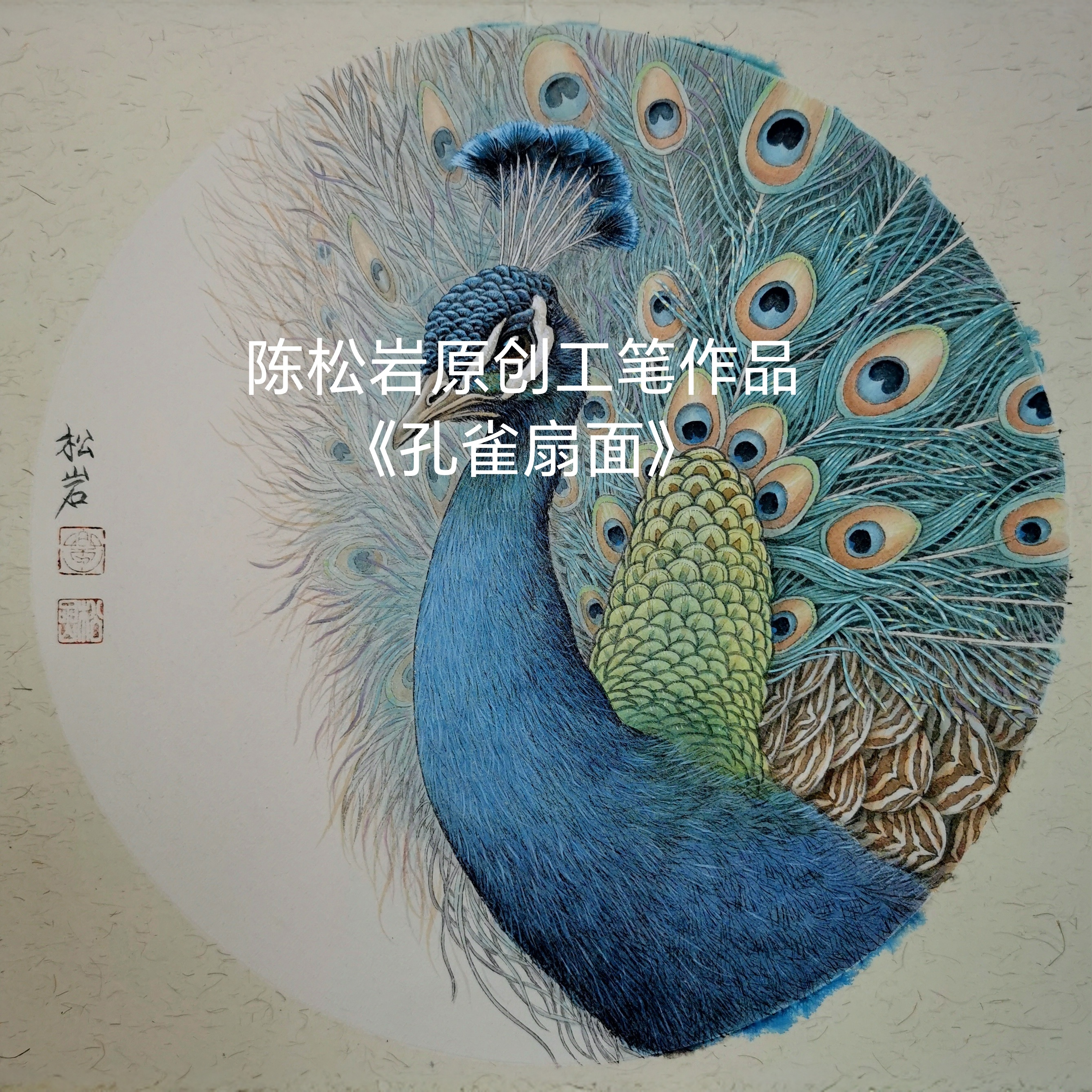 《孔雀扇面》共25讲  陈松岩原创工笔课