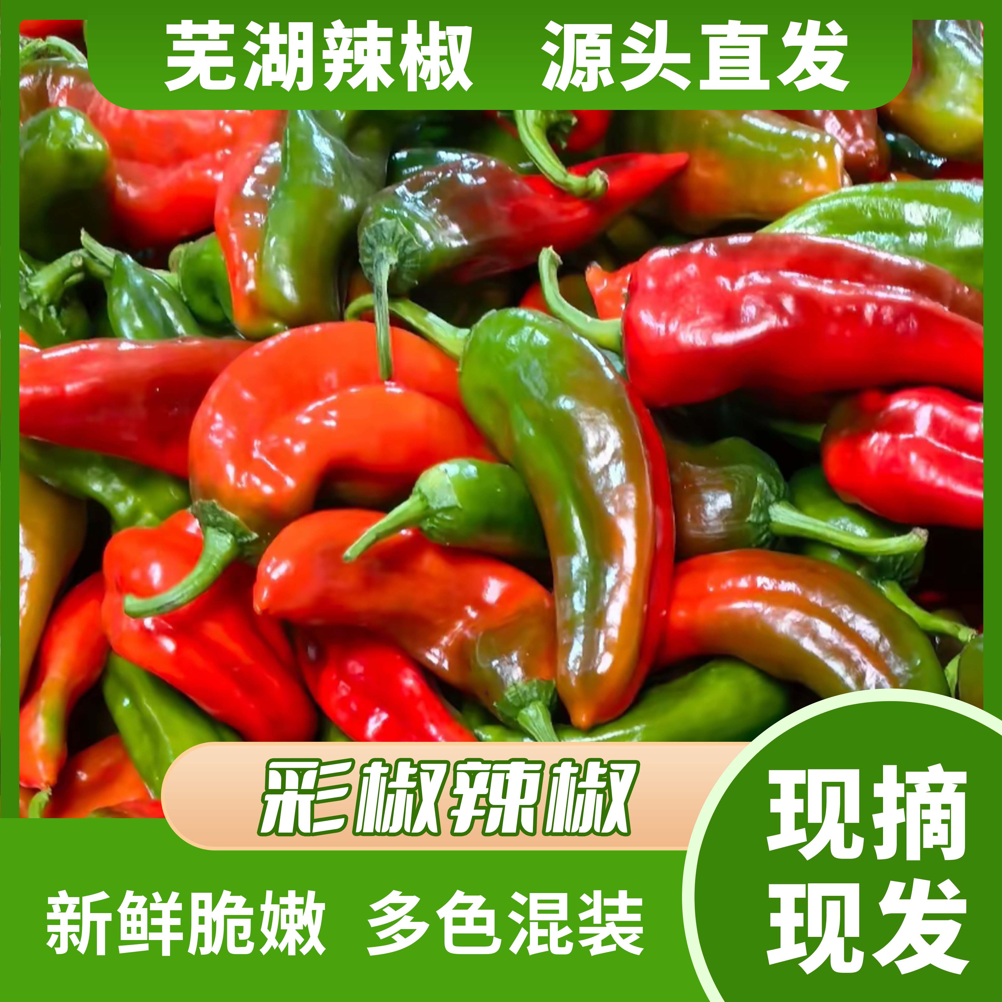 {芜湖江北}新鲜采摘农家自种皮薄肉厚可做辣椒酱多色混发
