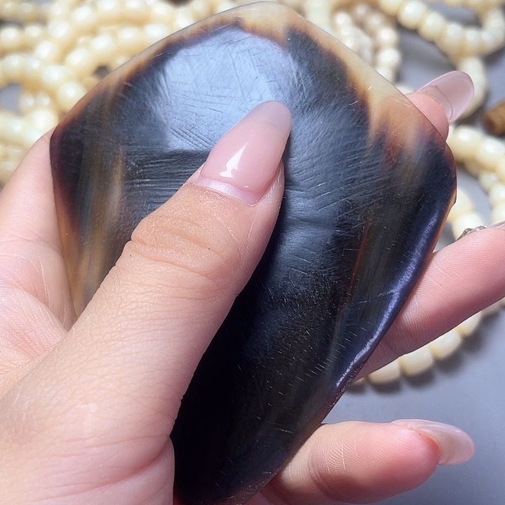 大果紫檀（缅甸花梨）