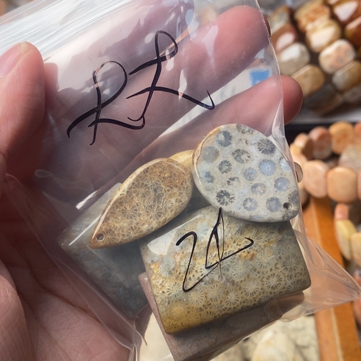 大***大颈饰未镶嵌硅化珊瑚（珊瑚玉）