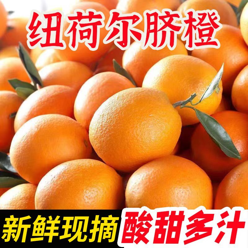 湖北现摘纽荷尔脐橙高山甜橙新鲜脐橙水果鲜橙应季水果一整箱
