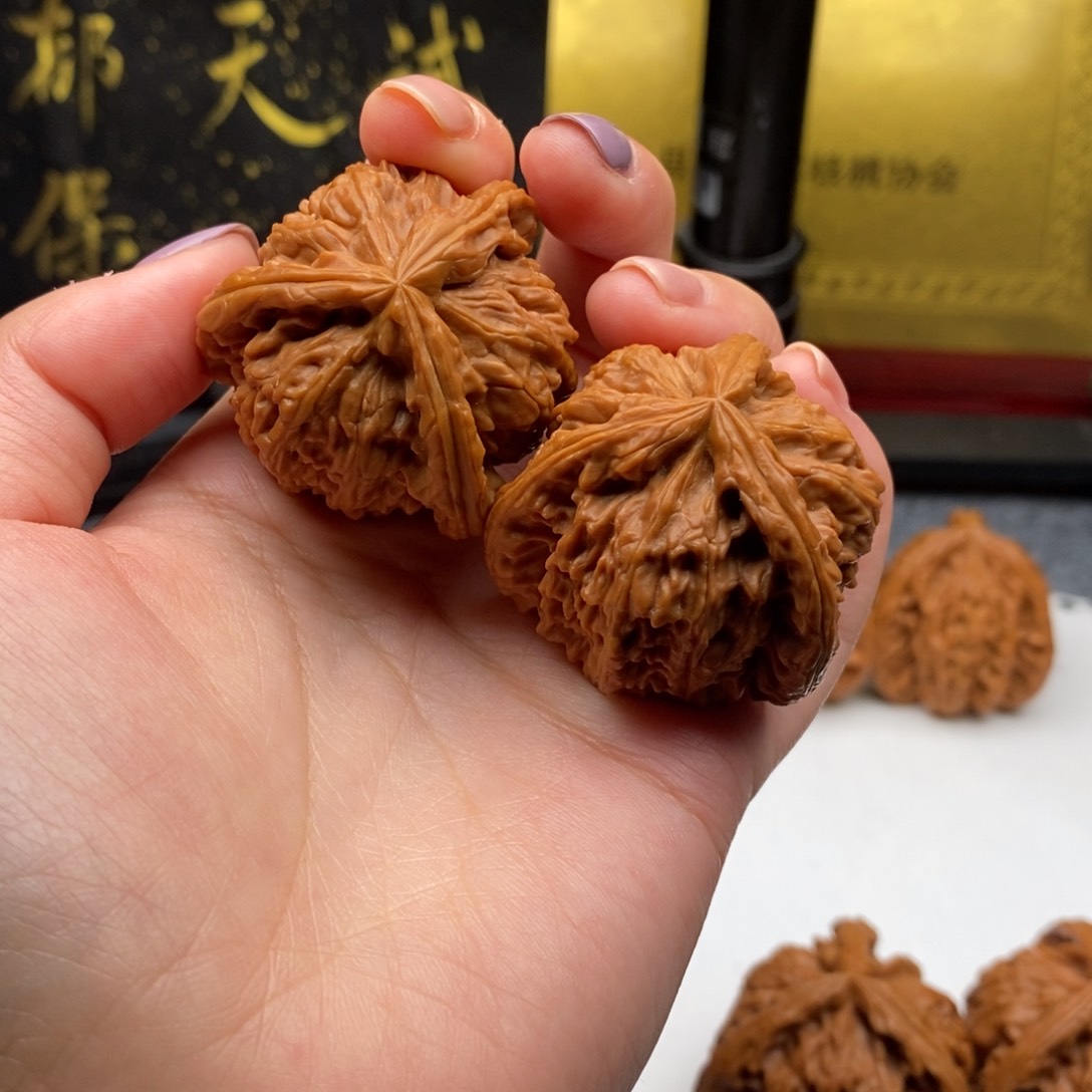 竹****锅白狮子111111111