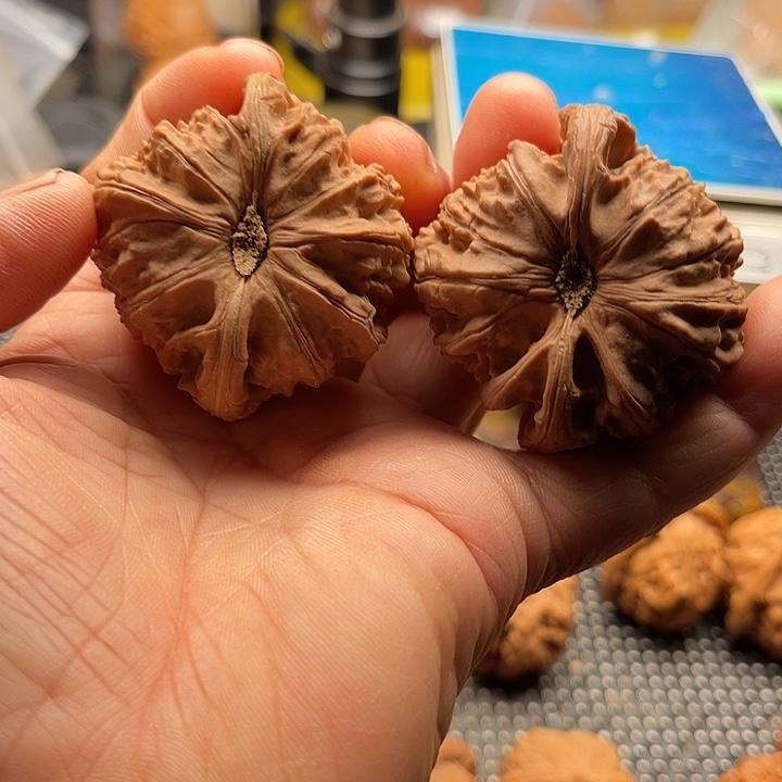 星***辰把件桃核球白边48