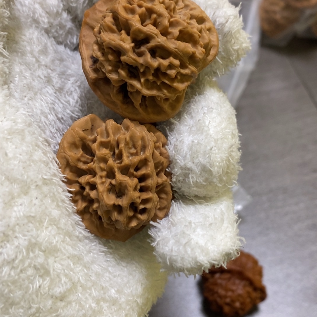 秦岭山脉山地秦闷