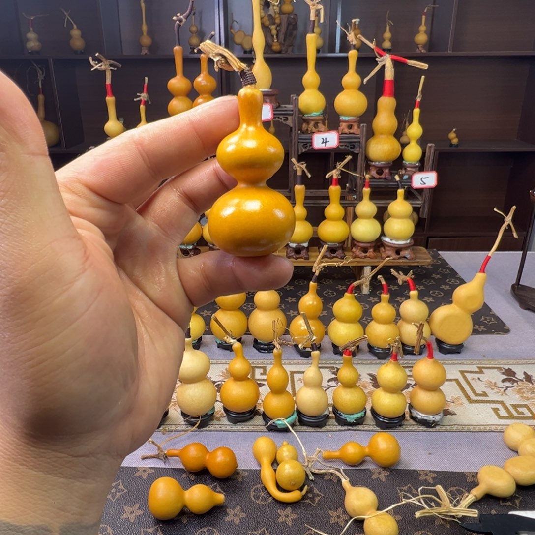 懂***！8888888888888888888