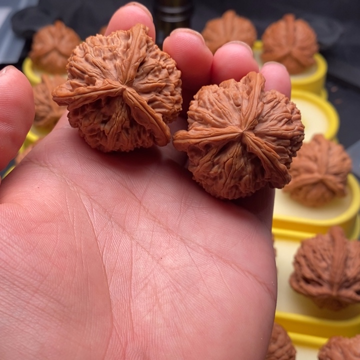 把件文玩核桃42白奔