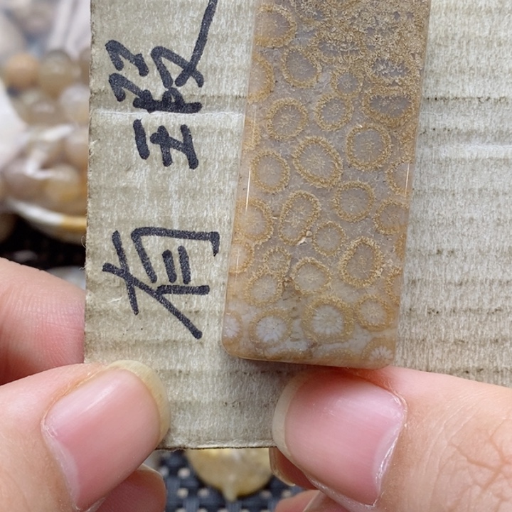 硅化珊瑚（珊瑚玉）颈饰未镶嵌