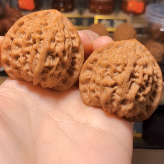 精品：平谷大金牛