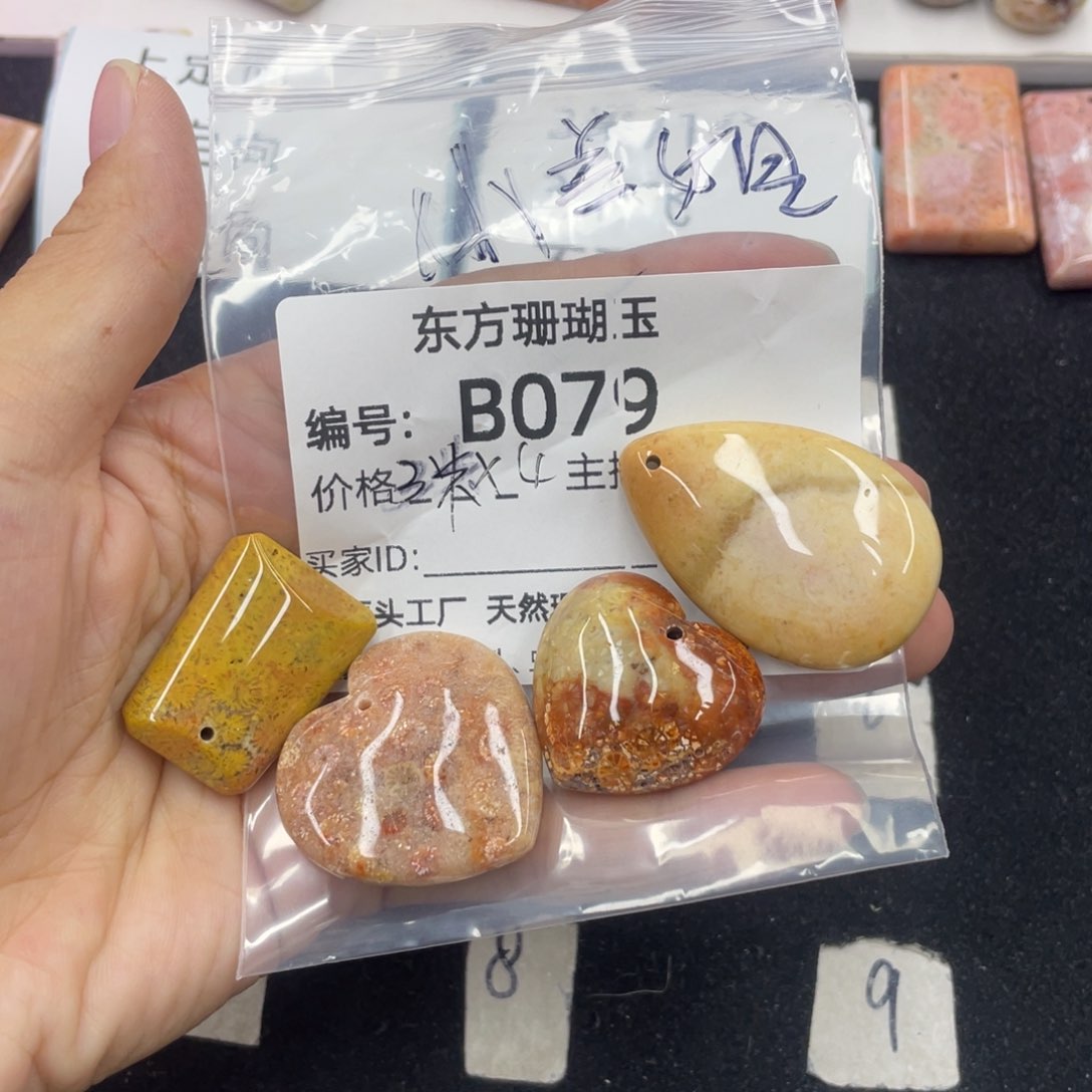 硅化珊瑚（珊瑚玉）合金颈饰小*姐