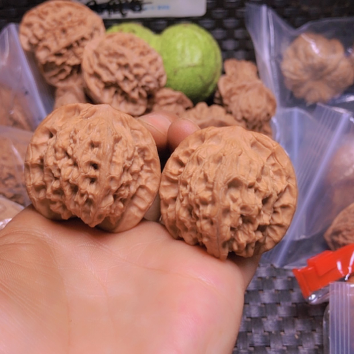 【闪购商品】核桃摆件38.5凤眼全品